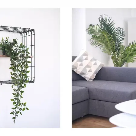 Apartman Palm Oasis